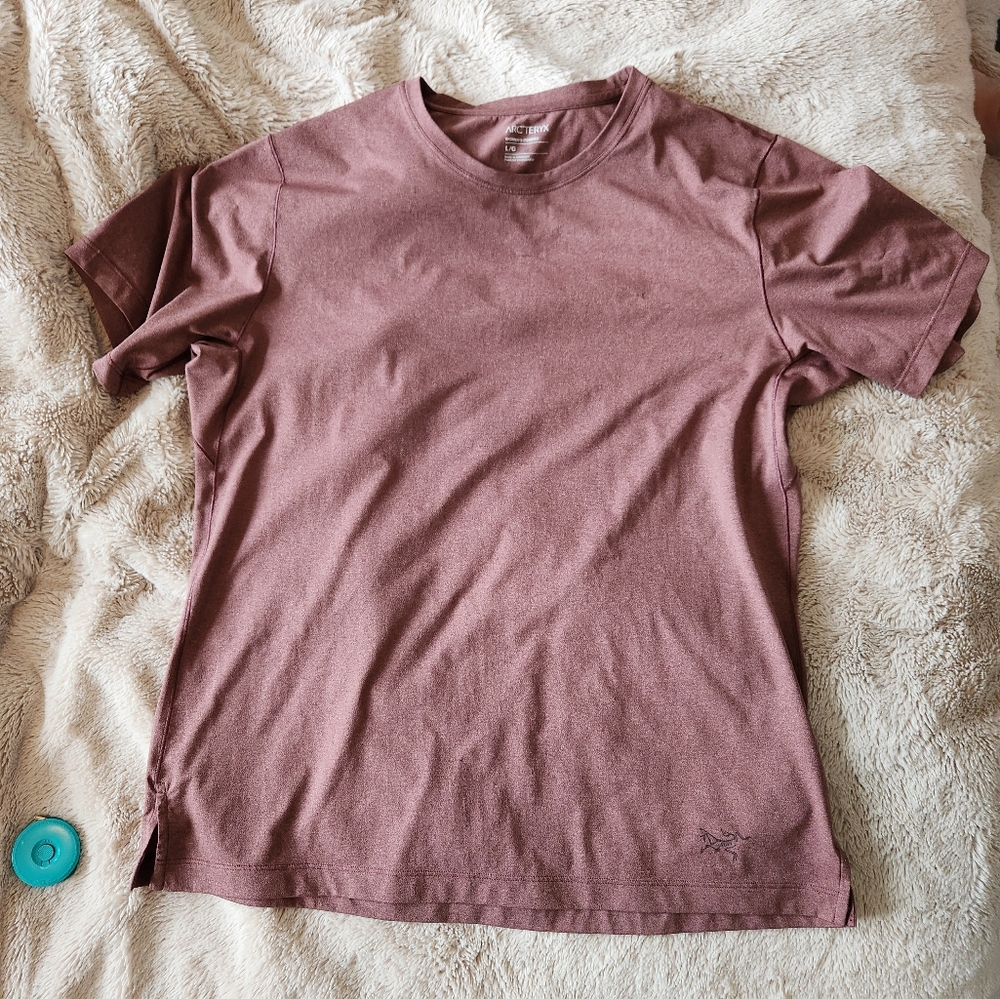 Mauve arc'teryx t shirt